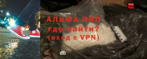 прущие грибы Армянск