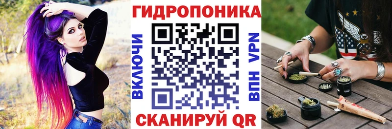 Каннабис план  Алагир 